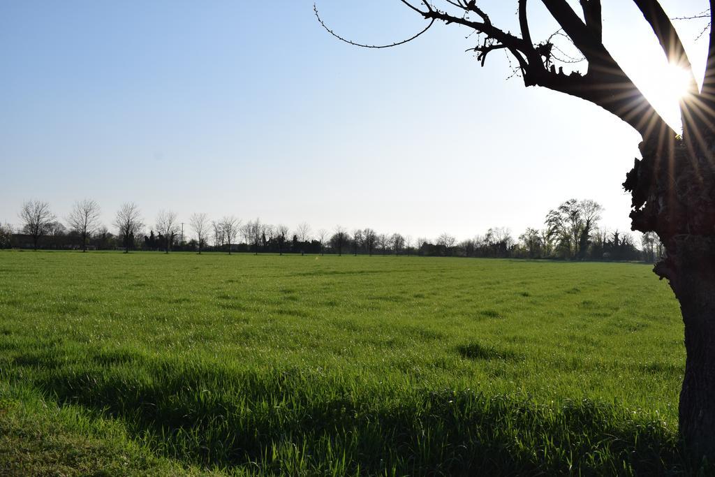 Agriturismo Ca Del Lupo ปาลาซโซโล ซุลลอลิโย ภายนอก รูปภาพ